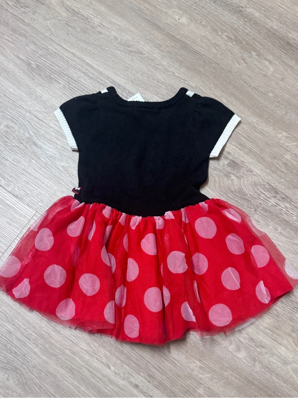 Disney Black & Red Polka Dot Minnie Tulle Dress